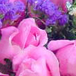 1 Mai plin de soare
