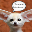 Situatia se inrautateste
