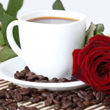 Buna dimineata! O cafea, o floare si un gand bun!