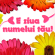 E ziua numelui tau
