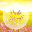 De Sfanta Duminica a Pastelui