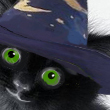 Halloween cu bostani