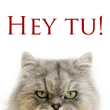 Hey tu!