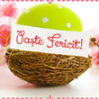 Paste Fericit