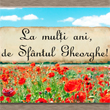 Cu ocazia zilei onomastice iti doresc sa ai parte numai de lucruri bune, dragosta, bani, sanatate, bucurii si clipe frumoase alaturi de cei dragi tie!<br /><br />
La multi ani de Sf. Gheorghe!